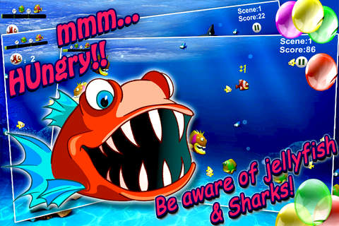 Hungry Fish : A deadly hungry fish attack in the sea FREE! screenshot 2