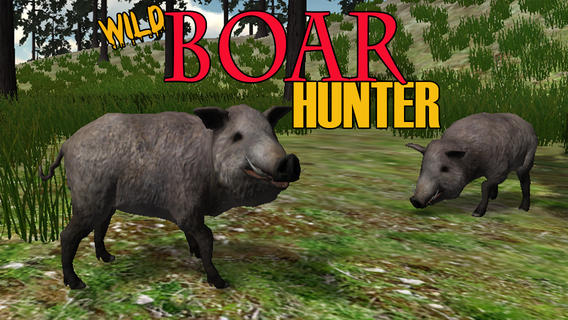 Boar Hunter