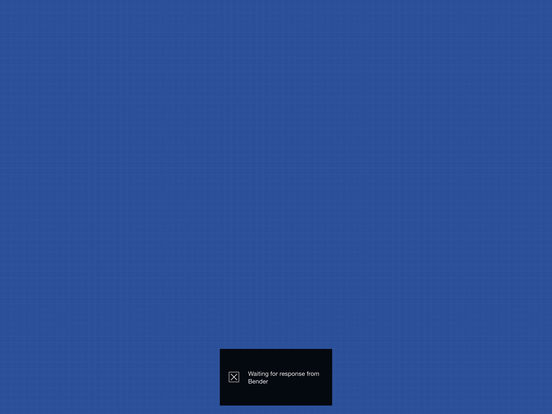 iPad Screenshot 2