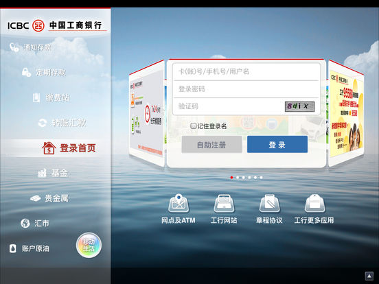 iPad Screenshot 1