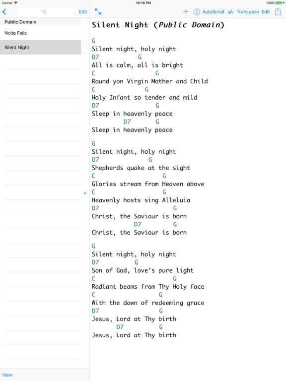 iPad Screenshot 1