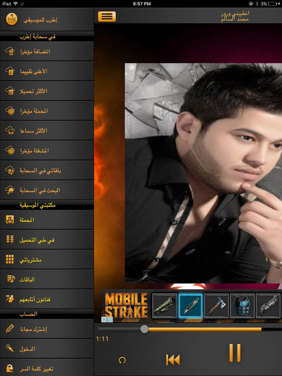 iPad Screenshot 2