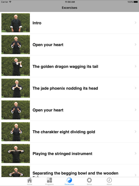 iPad Screenshot 3