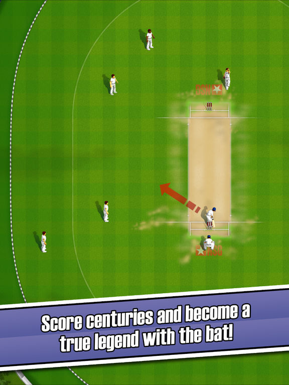 New Star Cricket для iPad