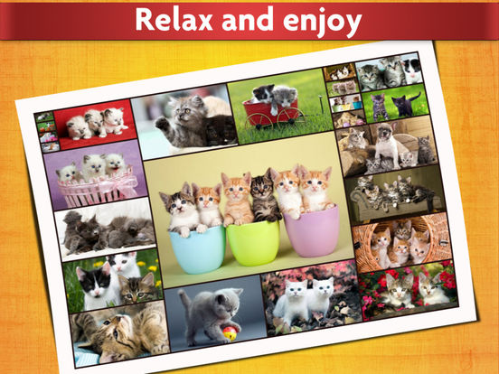 Игра Пазлы с кошками - Расслабляющий фото головоломки для детей и взрослых