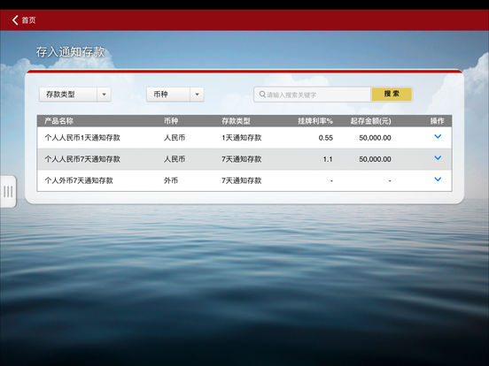 iPad Screenshot 4