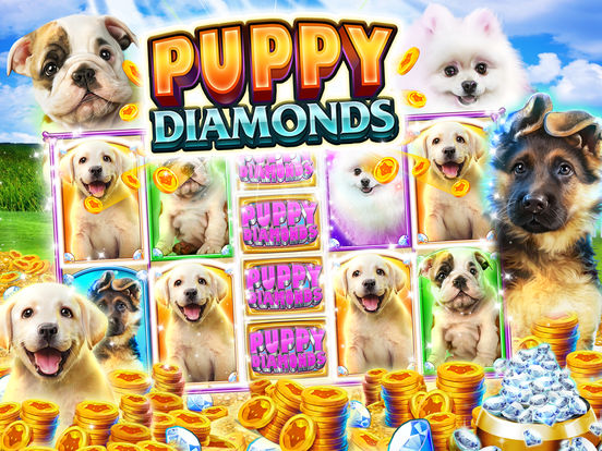 Buffalo Bonus Casinoscreeshot 2