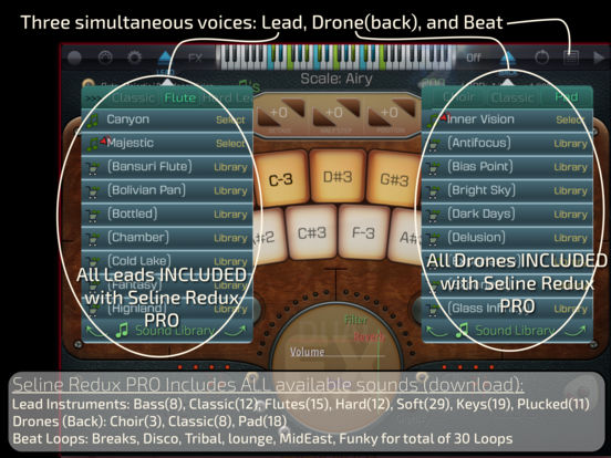 iPad Screenshot 5