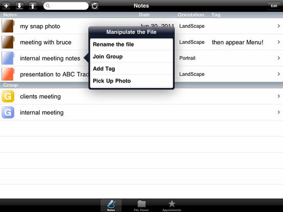 iPad Screenshot 5
