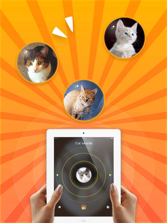 App Shopper Magic Cat Whistle ProCall your cats (Education)