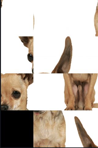 SlidePuzzle - Chihuahua image #1