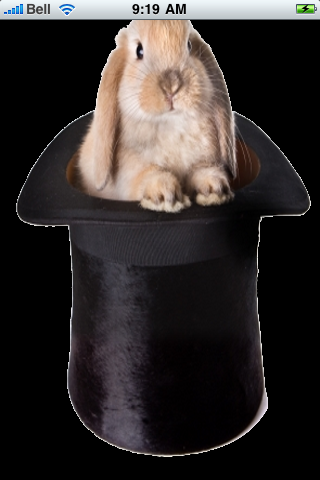 Magic Rabbit Snow Globe image #1