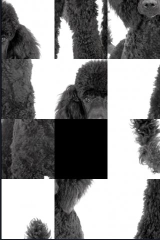 SlidePuzzle - Poodle image #1