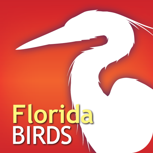 Audubon Birds Florida – A Field Guide to the Birds of Florida