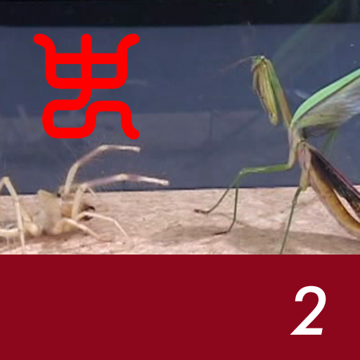Insect arena 3 - 2.Wind scorpion VS Praying mantis