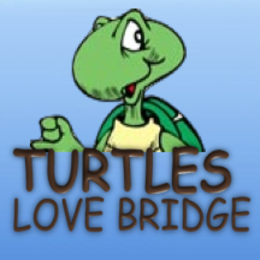 Turtles : Love Bridge