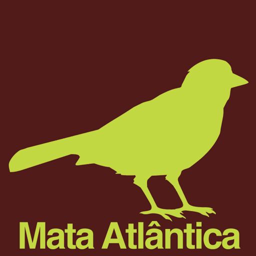 Aves do Brasil – Mata Atlântica