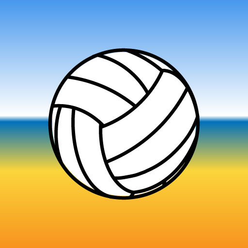 Beach Volleyball Dude