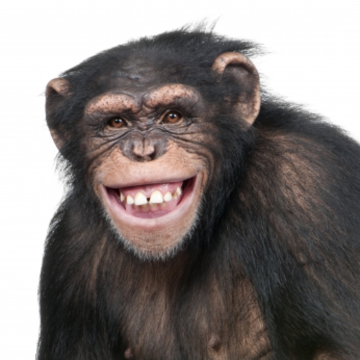 Happy Chimpanzee Slide Puzzle icon