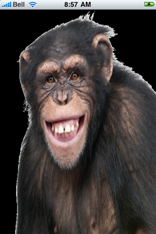 Happy Chimpanzee Snow Globe image #1