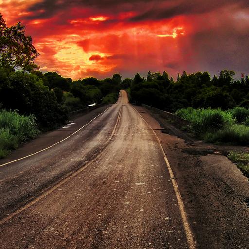 The Road by Jack London - ZyngRule ebooks