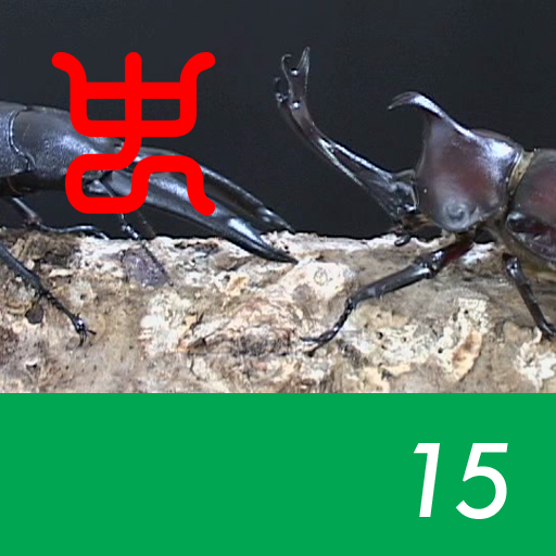 The world's strongest king of insect decision Vol.1 - 15.Japanese horned beetle VS Palawan stag beetle