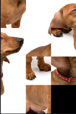 SlidePuzzle - Daschund image #1
