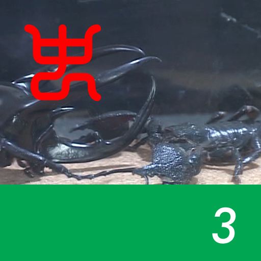 The world's strongest king of insect decision Vol.1 - 3.Caucasus beetle VS Emperor scorpion