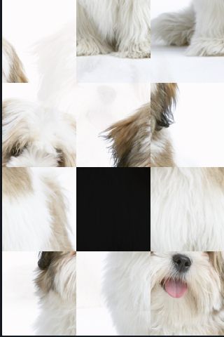 SlidePuzzle - Lhasa Apso image #1