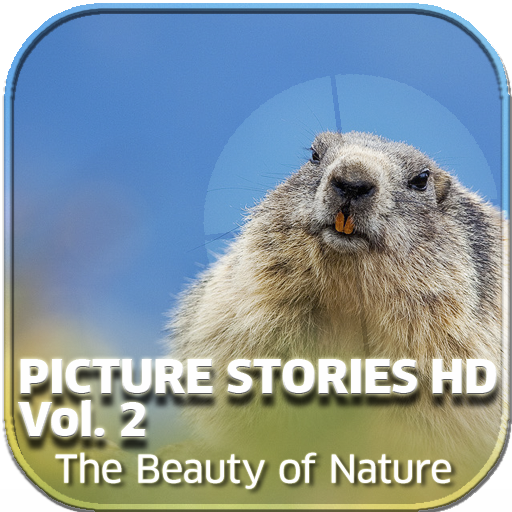 Picture Stories HD Vol. 2