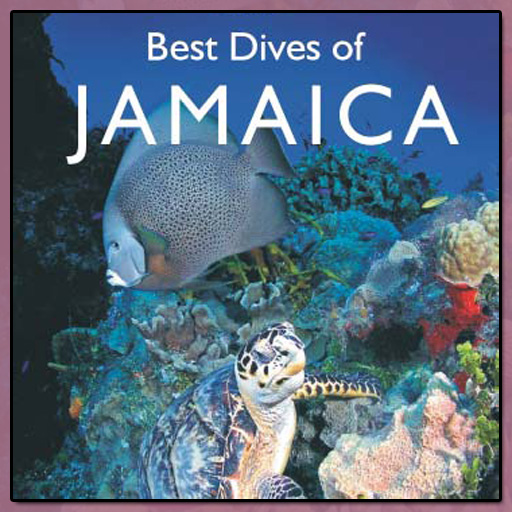 Best Dives Of Jamaica