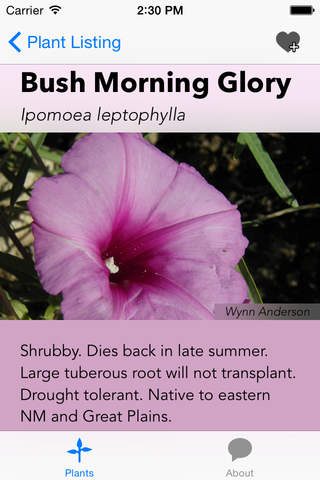Southwest Plant Selector - náhled
