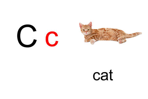 ABC Alphabet Flash Card - náhled