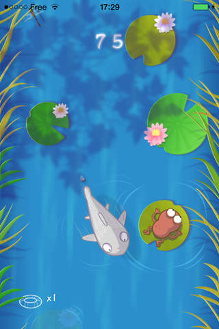 Lily the frog - náhled