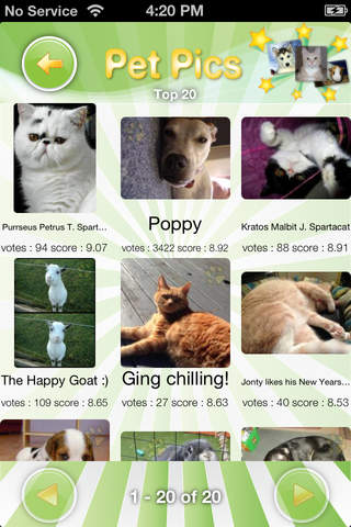 Pet Pics - náhled