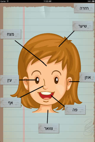 My Body english spanish hebrew - náhled