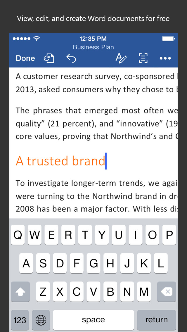 Microsoft Word screenshot 1