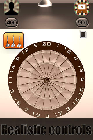 Professional Darts 3D - náhled