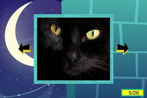 The Best Cats Sounds - náhled