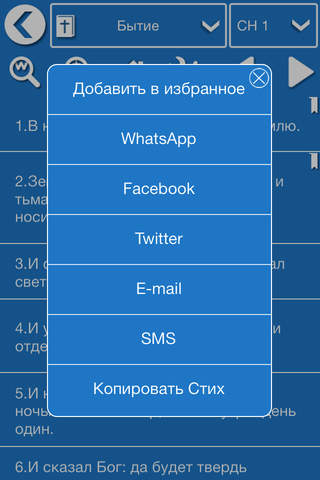 Russian Bible Offline - náhled