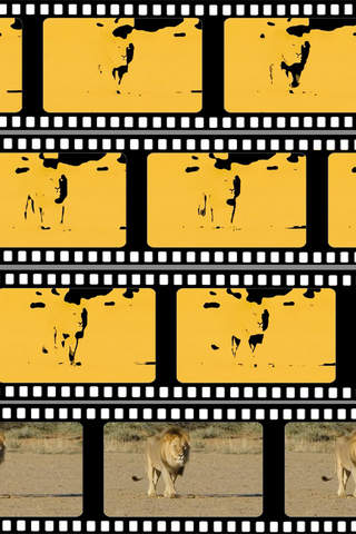 What's The Video - náhled