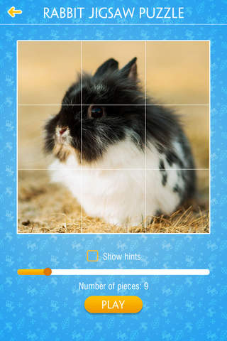 Rabbit Jigsaw Puzzles - náhled