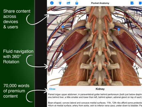 Pocket Anatomy - Interactive 3D Human Anatomy and Physiology. screenshot 7