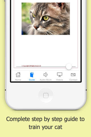 How You Can Train your Cat Free - náhled