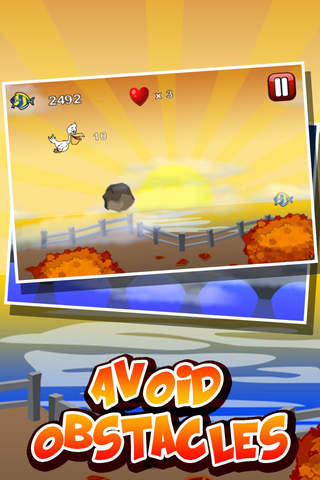 Pelican Birds Travel Season - náhled