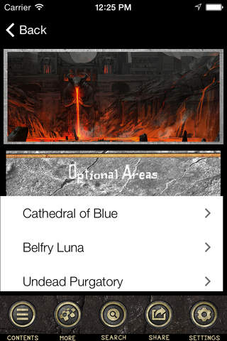 Wiki Guide for Dark Souls 2 - náhled