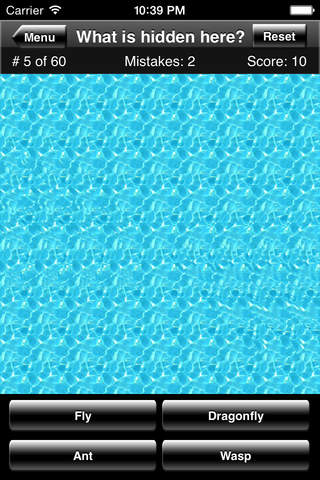 Magic Eye Stereogram Quiz - náhled