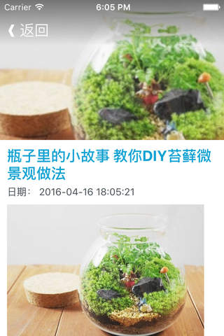 阳台园艺 - 家庭阳台园艺盆栽和室内插花技巧，把你的小阳台变成美丽的花园 - náhled