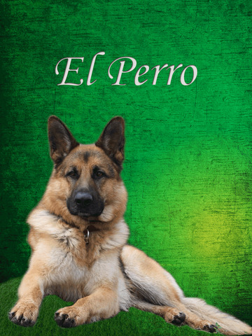 El Perro - náhled
