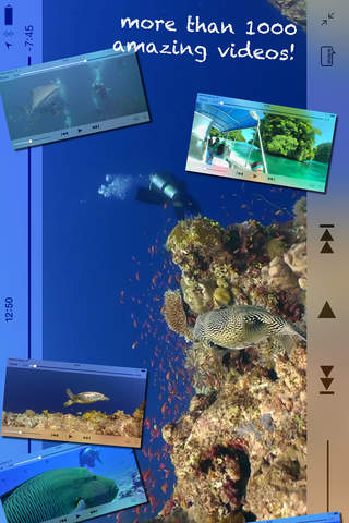 Scuba Diving - Amazing underwater world - náhled